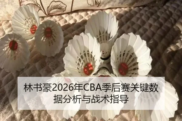 林书豪2026年CBA季后赛关键数据分析与战术指导